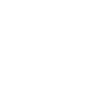 Shoes Icon